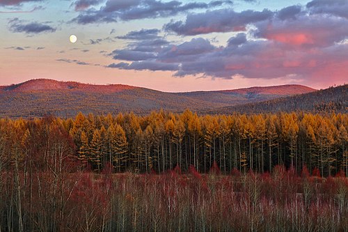 Greater Khingan Mountains